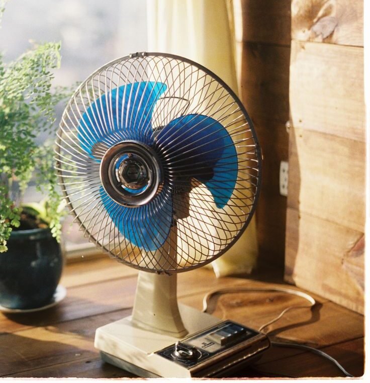 A sunlit room with a vintage fan, plant, and books on a wooden table.